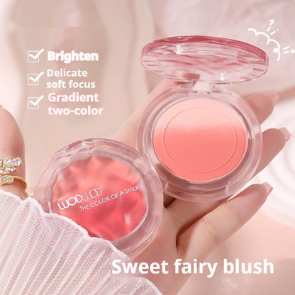 Blush Dégradé Mat - Correcteur de Teint Professionnel - Saunders Cosmétiques