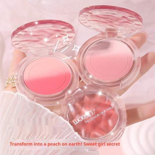 Blush Dégradé Mat - Correcteur de Teint Professionnel - Saunders Cosmétiques